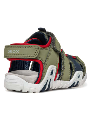 Geox Halbsandalen "Kraze" in Khaki/ Rot/ Dunkelblau