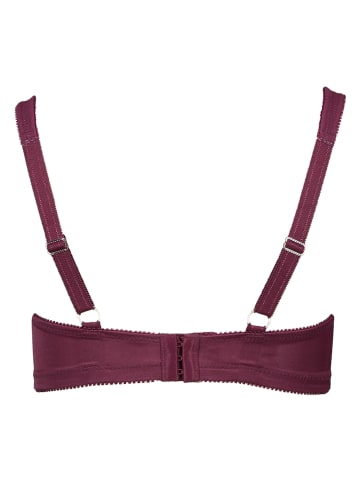 SUSA Bügelloser BH in Aubergine