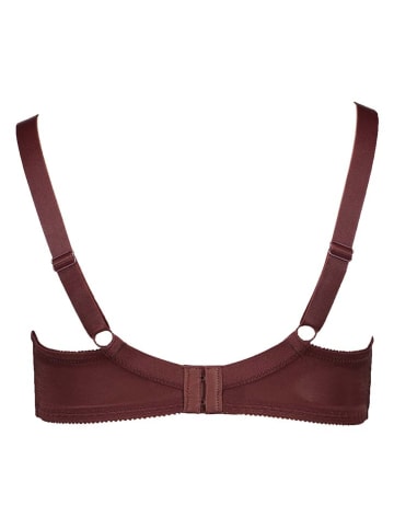 SUSA Biustonosz w kolorze brązowym