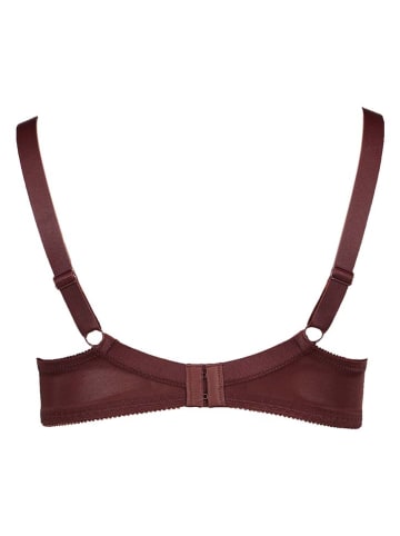 SUSA Biustonosz w kolorze brązowym