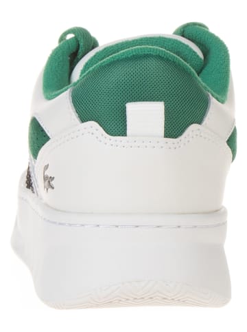 Lacoste Leren sneakers wit/groen
