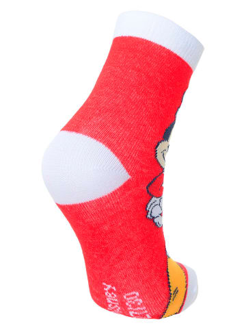 Disney Minnie Mouse 4er-Set: Socken "Minnie" in Bunt