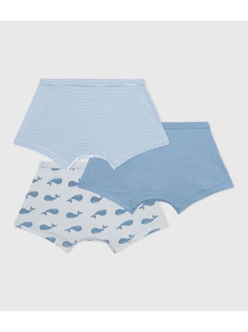 PETIT BATEAU 3-delige set: boxershorts lichtblauw/wit