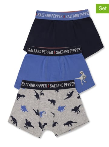 Salt and Pepper 3er Set: Boxershorts in Bunt