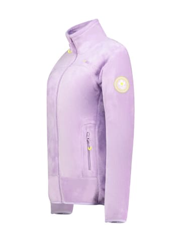 Canadian Peak Shirt "Jeleganteak" grijs