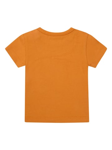 Noppies Shirt "Ostra" in Orange