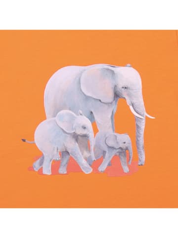 Walkiddy Shirt in Orange