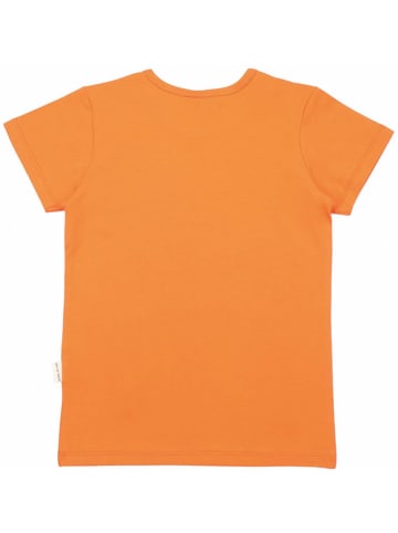 Walkiddy Shirt in Orange