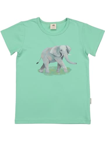 Walkiddy Shirt in Grün
