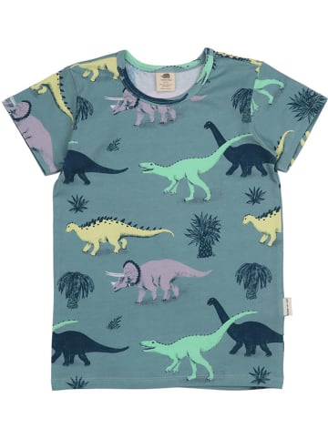 Walkiddy Shirt in Blau