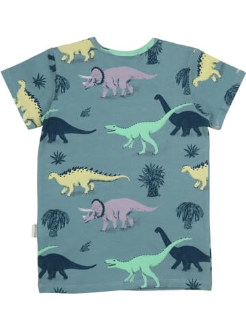 Walkiddy Shirt in Blau