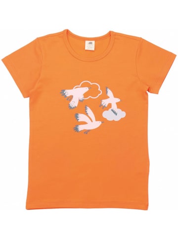 Walkiddy Shirt in Orange