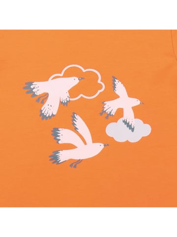 Walkiddy Shirt in Orange