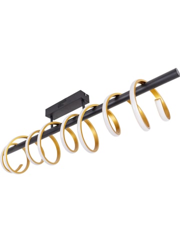 näve LED-Deckenleuchte "Bellezza" in Schwarz/ Gold - EEK D (A bis G)