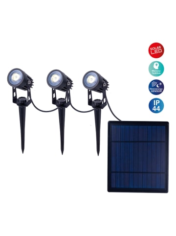 näve 3er-Set: LED-Gartenstecker in Schwarz - (H)9 x Ø 4 cm