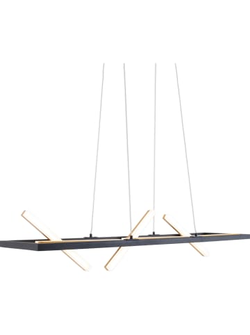 näve Ledhanglamp "Cadice" - energieklasse G (A tot G) - (B)100 x (D)54 cm