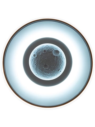 näve Lampa sufitowa LED "Livana" w kolorze czarno-białym - KEE E (A do G)