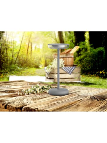 näve Ledtafellamp "Pasi" grijs - energieklasse G (A tot G)