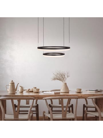 näve LED-CCT-Hängeleuchte "Circulo" in Schwarz/ Creme - EEK G (A bis G)