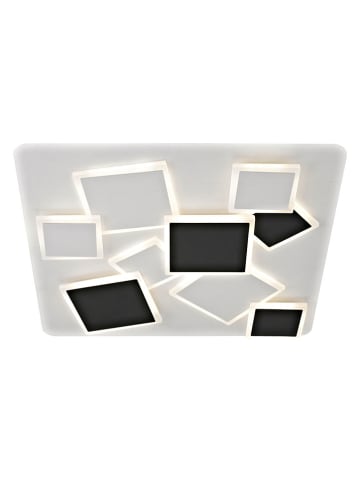 näve Ledplafonnière "Vincent" wit/zwart - energieklasse E (A tot G)