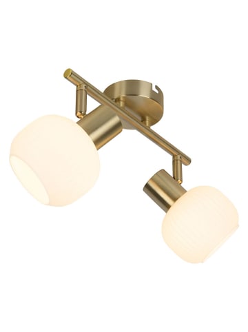 näve Ledplafonnière "Learta" goudkleurig/wit - (B)25 cm