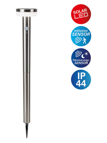 näve Solarna lampa ogrodowa "Norcia" w kolorze srebrnym na trzonku - wys. 80 cm