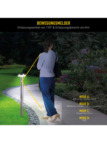 näve Solargrondsteker "Norcia" zilverkleurig - (H)80 cm