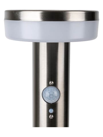 näve Solargrondsteker "Norcia" zilverkleurig - (H)80 cm