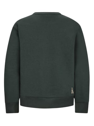 Retour Sweatshirt "Borya" groen
