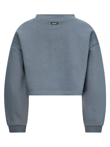 Retour Sweatshirt "Puck" in Grau
