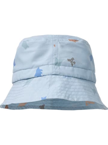 Wheat Sonnenhut "Tilo" in Hellblau