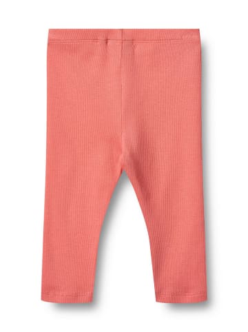 Wheat Leggings "Maddy" in Koralle