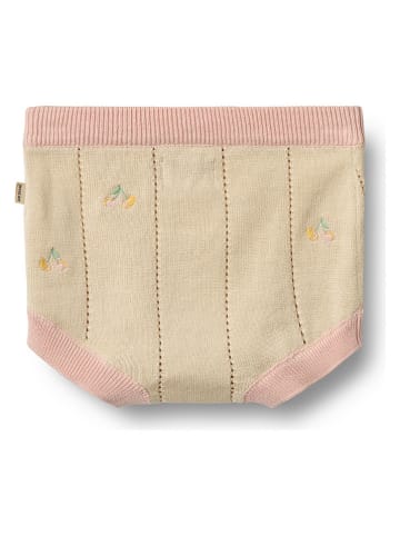 Wheat Gebreide short "Dua" beige