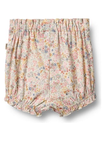 Wheat Short meerkleurig