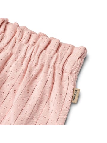 Wheat Strickshorts in Rosa