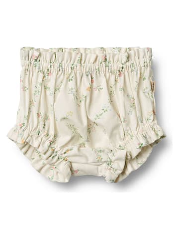 Wheat Short "Silla" crème