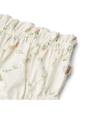 Wheat Short "Silla" crème