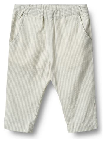 Wheat Hose "Andy" in Hellblau