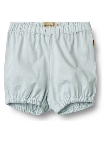 Wheat Short "Olly" lichtblauw