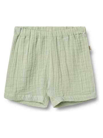Wheat Shorts "Luca" in Türkis