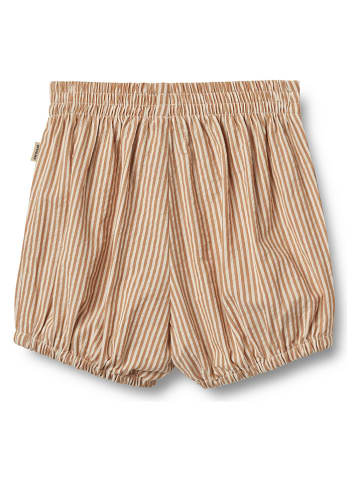 Wheat Short "Ollie" lichtbruin