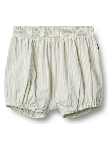 Wheat Short "Ollie" lichtblauw