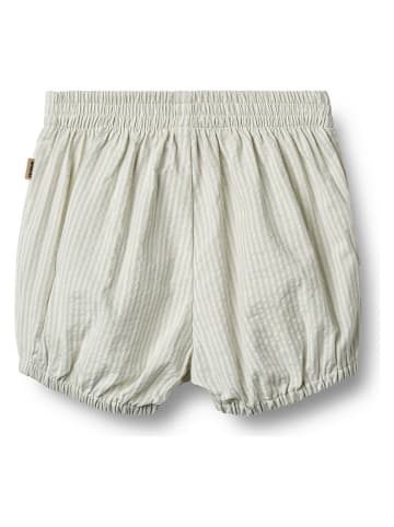 Wheat Short "Ollie" lichtblauw