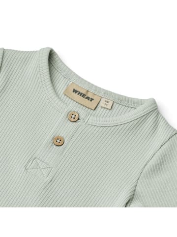 Wheat Body "Magnus" in Türkis