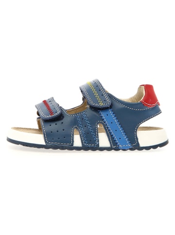 Naturino Leren sandalen "Sihur" donkerblauw