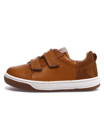 Naturino Leder-Sneakers "Caleb" in Hellbraun