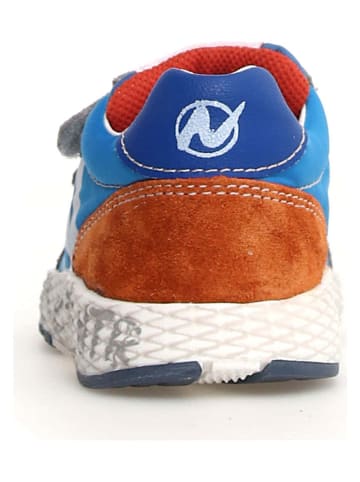 Naturino Leder-Sneakers "Jesko 2" in Grau/ Blau