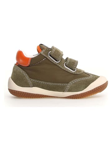 Naturino Leder-Sneakers "Go" in Khaki
