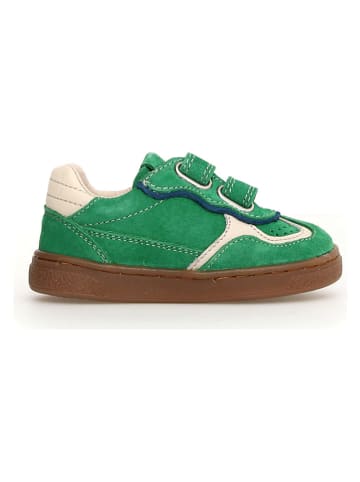 Naturino Leren sneakers "Riby" blauw