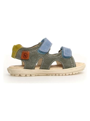 Naturino Leder-Sandalen "Sky" in Khaki/ Blau